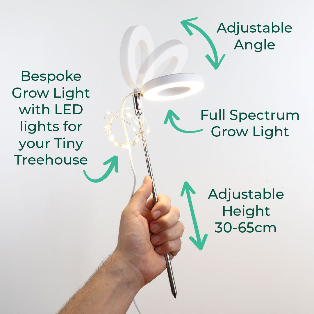 Sunrise Terrace + Grow Light