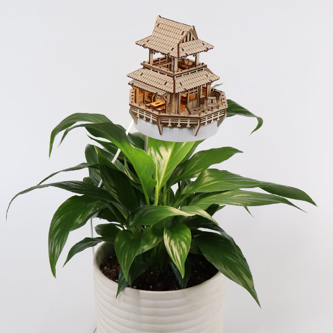 Sunrise Terrace + Grow Light