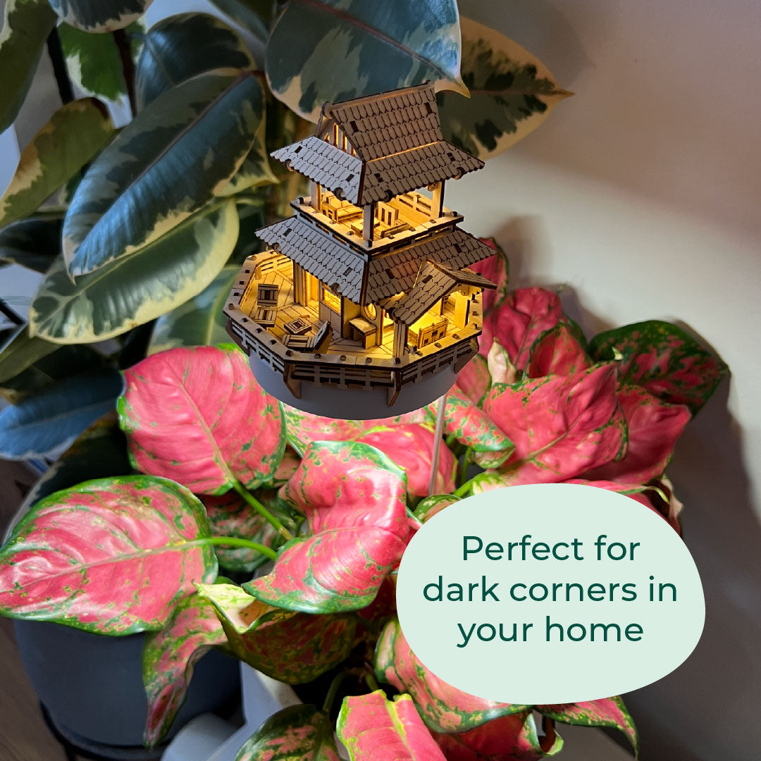 Sunrise Terrace + Grow Light