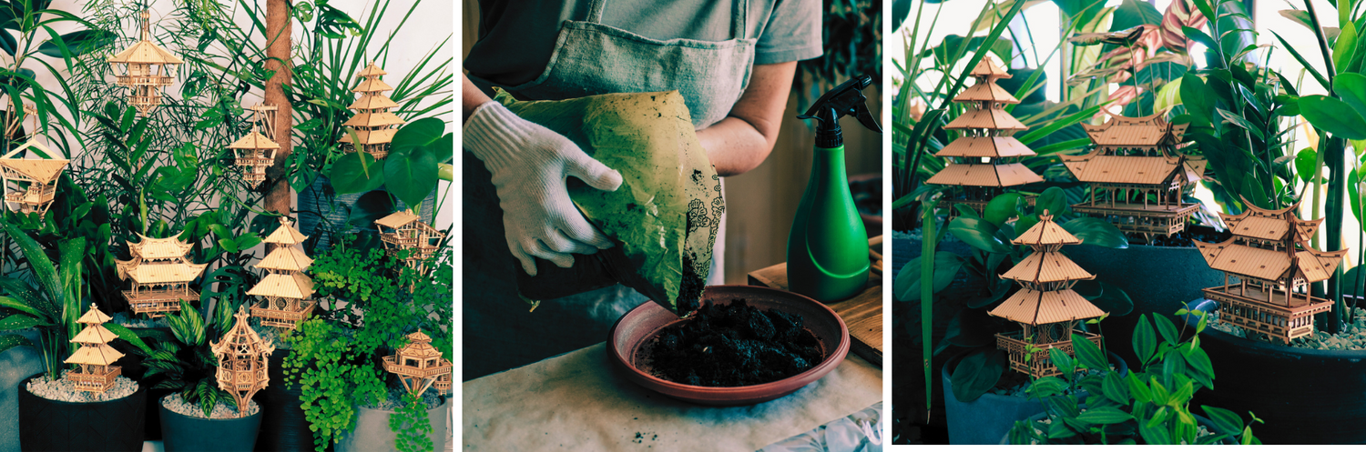 Caring for Your Treehouse Houseplants in Spring