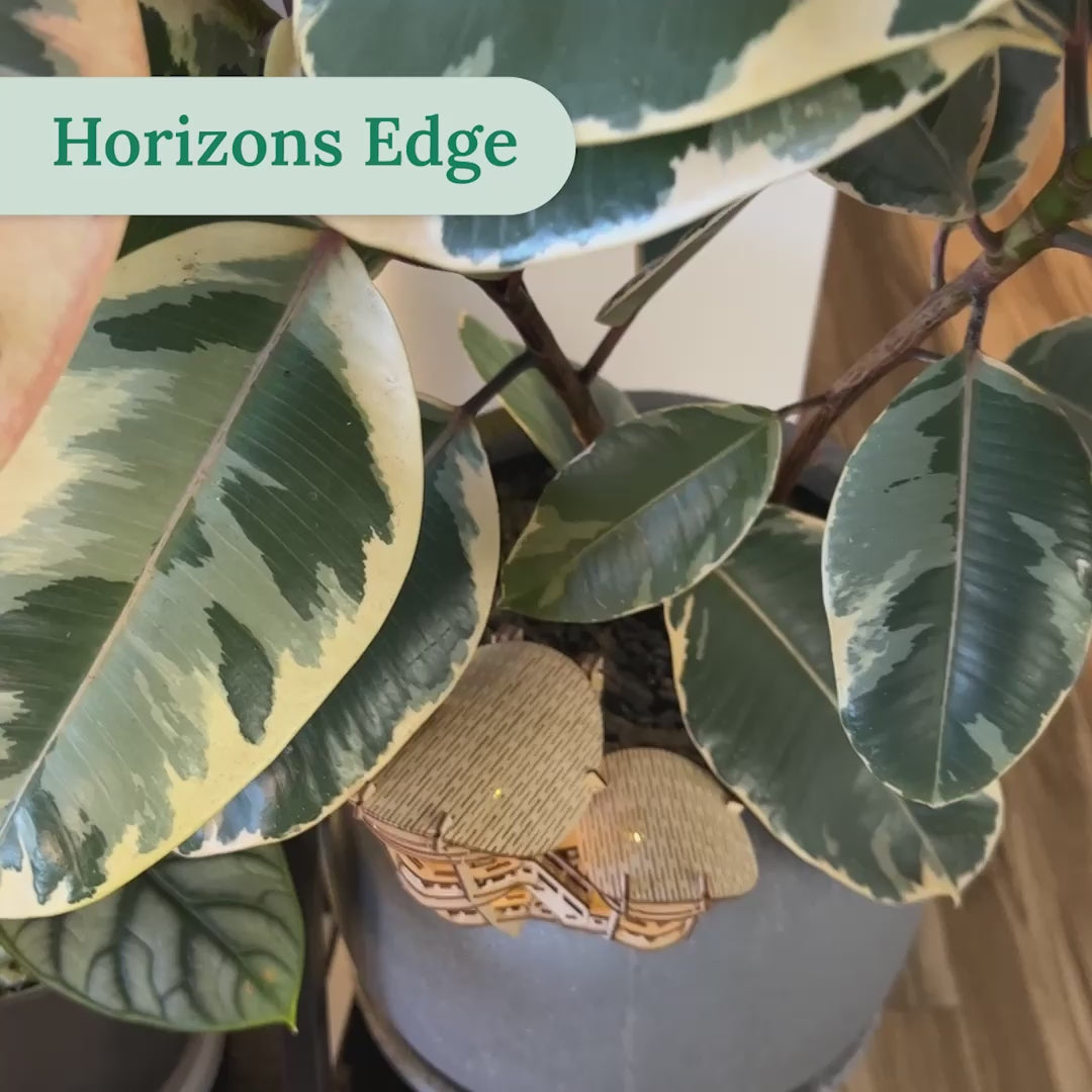 Horizons Edge