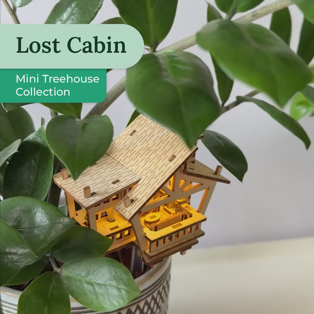 Lost Cabin
